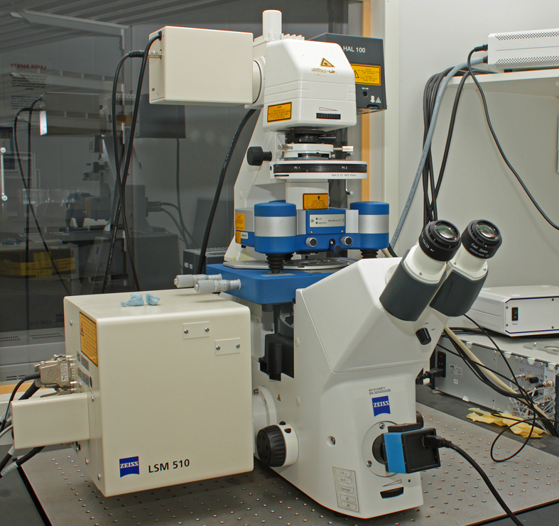 Zeiss LSM 510 JPK AFM